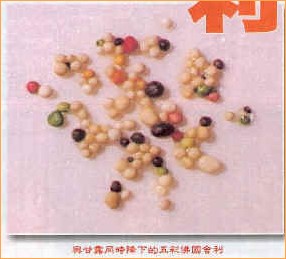 佛降甘露录影带问世震惊佛教界