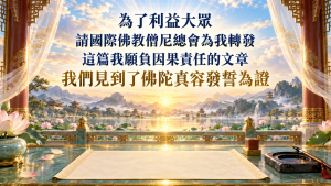 我们见到了佛陀真容发誓为证 9 为了利益大众请国际佛教僧尼总会为我转发这篇我愿负因果责任的文章 我们见到了佛陀真容发誓为证