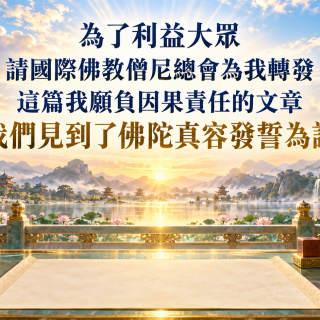 为了利益大众请国际佛教僧尼总会为我转发这篇我愿负因果责任的文章 我们见到了佛陀真容发誓为证