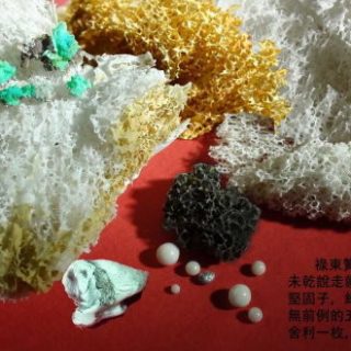 圣迹寺胜义火供法会圆满 禄东赞法王生死自由 圆寂化得五彩舍利花坚固子
