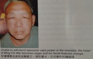 三毒水泡虚出没 五阴浮云任去来