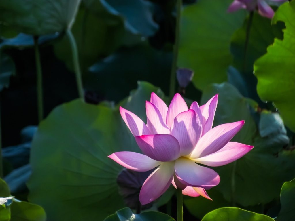 兒子沉迷網遊，我是這麼做的