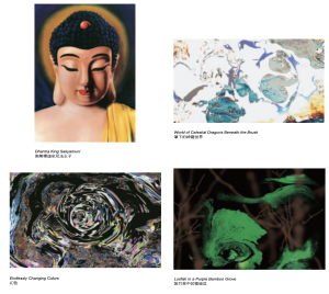 第三世多杰羌佛云高益西诺布顶圣如来工巧明展显之 西画 4 第三世多杰羌佛云高益西诺布顶圣如来工巧明展显之 西画
