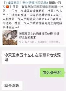 “不要问我从哪里来,我只想回家”——疫情下一个流浪者的自述 4 图2