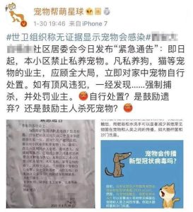 “不要问我从哪里来,我只想回家”——疫情下一个流浪者的自述 2 某居委會發佈的處置貓狗的通知
