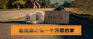 （作者注：本文系虛構，為喚醒大眾共同愛護動物的善心而作）