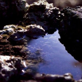 圖說： 造景藝術：夢幻曲之湖水及天光