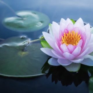 聞法修行一旦知見正確，讓我迅速收穫滿滿