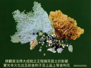 王程娥芬居士的舍利花