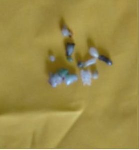 王靈澤大居士圓寂後荼毗所得的十三枚堅固舍利子。