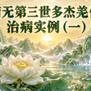 南无第三世多杰羌佛治病实例（一）