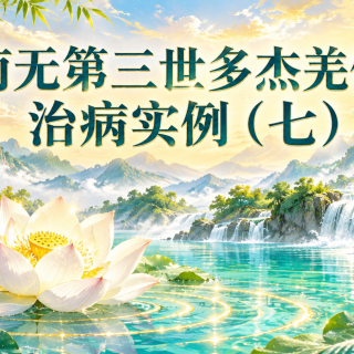 南无第三世多杰羌佛治病实例（七）