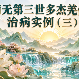 南无第三世多杰羌佛治病实例（三）