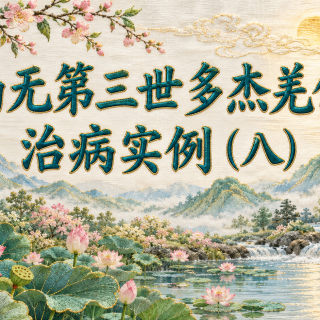 南无第三世多杰羌佛治病实例（八）