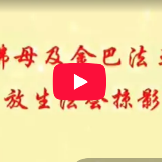 QQ_1790981486228