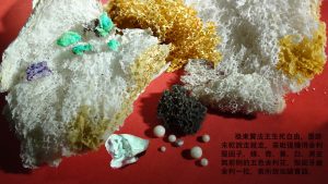 祿東贊法王生死自由，墨跡未乾說走就走，荼毗後獲得舍利堅固子，綠、青、黄、白、黑史無前例的五色舍利花，堅固牙齒舍利一枚，表所說如語實語。 